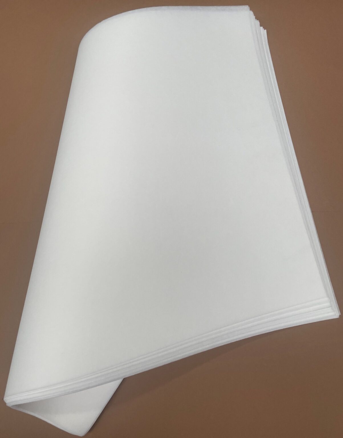 Filtre de schimb Frymaster OCF30